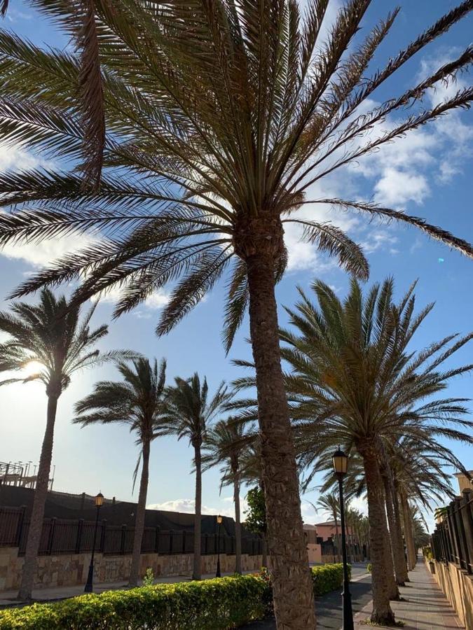La Tunera Fuerteventura 科拉雷侯 外观 照片